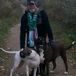 Neil Calvert - @gtghip88 - Instagram