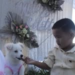 Lloyd Neil Capellan - @lloydneilcapellan - Instagram