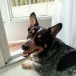 Neil Carbone - @neilio81 - Instagram