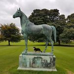 Neil Carmichael Johnstone - @neilcarmichaeljohnstone - Instagram