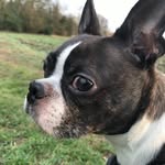 Neil cass - @bostonbr1 - Instagram