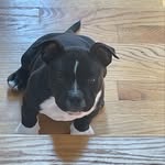 Channing O’Neill - @channing.oneill - Instagram