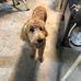 Neil Canning - Facebook