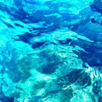 Neil Charles - @neil5478 - Instagram