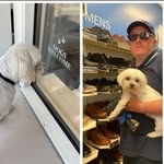 Neil charles - @neil_charles_445 - Instagram