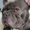neilcharles - @neilcharles - TikTok