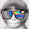 Chase Neil - @chase.neil - TikTok