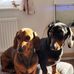 Neil Chase - Facebook