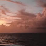 @neils_cheek - Instagram