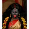 Neil Chowdhury - @neil.chowdhury97 - TikTok