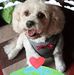 Neil Clayton - Facebook