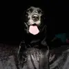 Neil Coates - @neil.coates2 - TikTok