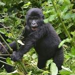 Neil Coffey - @coffeyneil - Instagram