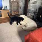 Neil Connor - @neil.connor.33 - Instagram