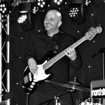 Neil Cook - @neilcookbass - Instagram