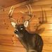 Neil Craft - Facebook