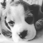 Neil Patkar - @neil_mine_craft - Instagram