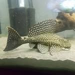 Neil Crofts - @neil.crofts.904 - Instagram