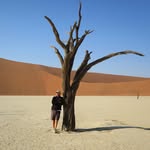 Neil Cutler - @neilcutler.ontheroad - Instagram