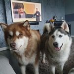 Neil Dooley - @dooley.neil - Instagram