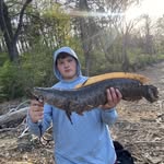 Neil Farrell - @neilfarrell28 - Instagram