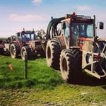 Neilus Flaherty - @neilusflaherty - Instagram