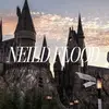 neild flood - @neild.flood - TikTok