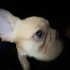 NeilFuller - @jaydexepfx8 - TikTok