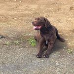Neil Galbraith - @neil.galbraith - Instagram