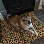 NeillGalbraith - @neillgalbraith - Instagram