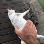 Neil Galvin - @galvinneil - Instagram
