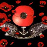 Neil Glover - @neil207tg - Instagram
