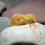 Neil Goodwin - @neil.goodwin.3701 - Instagram