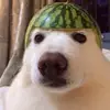 Shanks So Ughh. - @neil.goodkid - TikTok