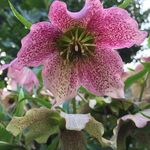 Neil Goodyear - @neil.goodyear.3 - Instagram