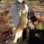 Neil Grace - @neilg_78 - Instagram