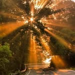 Neil Grace - @glycaloling - Instagram