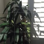 Grayson Neil - @grayson.neil7 - Instagram