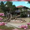 Neil Gregorio - @user22259299 - TikTok