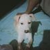 Neil Gregorio - Facebook