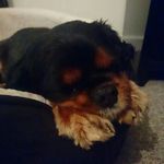 Neil Griffin - @neil.griffin.773124 - Instagram