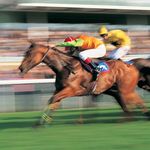 Neil Grimes - @racedaytrades - Instagram