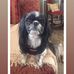 Neil Gross - Facebook