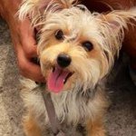 Neil Gupta - @ngup00 - Instagram