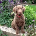 Neil Hadley - @neilhadley40 - Instagram
