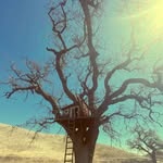Neil Haley - @neilhaley.one - Instagram