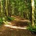 Uplands Woods - Neil Hanks - Facebook