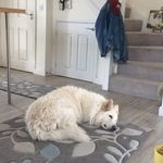 Neil Hanson - @hanson.nah1959 - Instagram