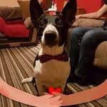 @neilhardwick86 - Instagram