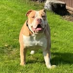 Neil Hardy - @hardy4040 - Instagram